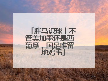 胖马识球丨不管美加墨还是西葡摩，国足唯留一地鸡毛