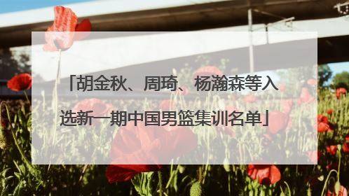 胡金秋、周琦、杨瀚森等入选新一期中国男篮集训名单