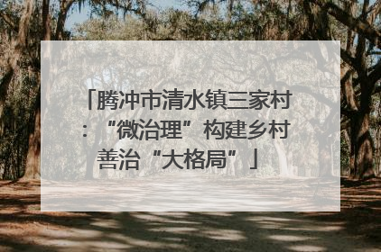 腾冲市清水镇三家村：“微治理”构建乡村善治“大格局”