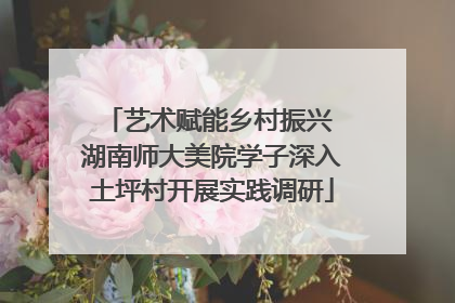 艺术赋能乡村振兴 湖南师大美院学子深入土坪村开展实践调研