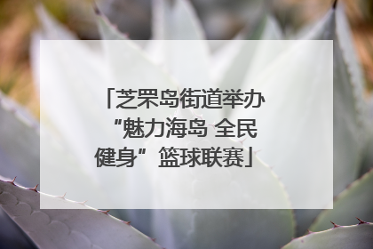 芝罘岛街道举办“魅力海岛 全民健身”篮球联赛