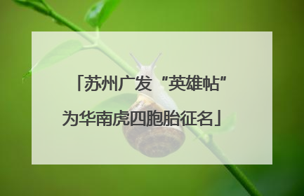 苏州广发“英雄帖”为华南虎四胞胎征名