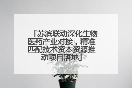 苏滨联动深化生物医药产业对接，精准匹配技术资本资源推动项目落地