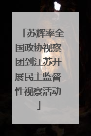 苏辉率全国政协视察团到江苏开展民主监督性视察活动
