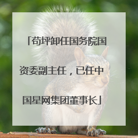 苟坪卸任国务院国资委副主任，已任中国星网集团董事长