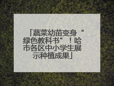 蔬菜幼苗变身“绿色教科书”！哈市各区中小学生展示种植成果