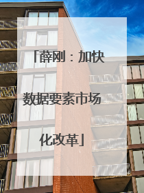 薛刚：加快数据要素市场化改革