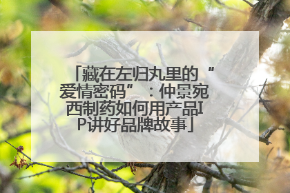 藏在左归丸里的“爱情密码”：仲景宛西制药如何用产品IP讲好品牌故事