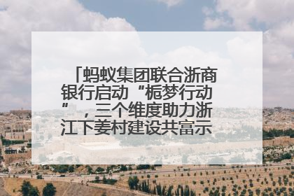 蚂蚁集团联合浙商银行启动“栀梦行动”，三个维度助力浙江下姜村建设共富示范区示范点