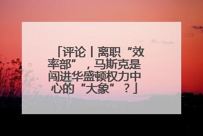 评论丨离职“效率部”，马斯克是闯进华盛顿权力中心的“大象”？