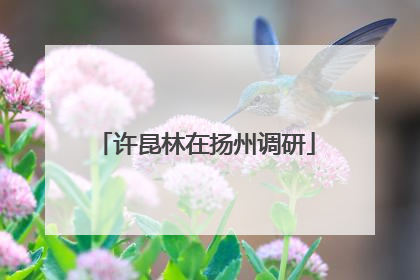 许昆林在扬州调研