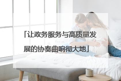 让政务服务与高质量发展的协奏曲响彻大地