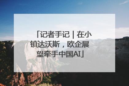 记者手记｜在小镇达沃斯，欧企展望牵手中国AI