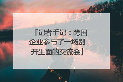 记者手记：跨国企业参与了一场别开生面的交流会