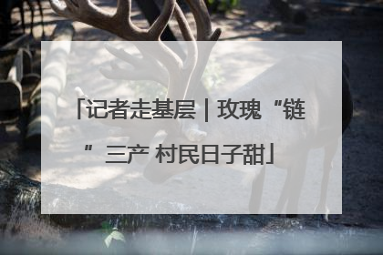 记者走基层｜玫瑰“链”三产 村民日子甜
