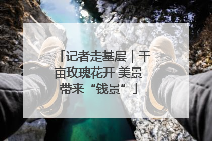 记者走基层｜千亩玫瑰花开 美景带来“钱景”