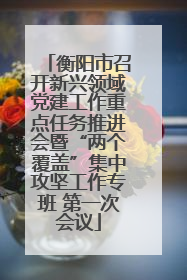 衡阳市召开新兴领域党建工作重点任务推进会暨“两个覆盖”集中攻坚工作专班 第一次会议