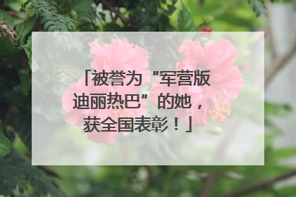 被誉为“军营版迪丽热巴”的她，获全国表彰！