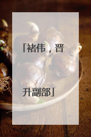 褚伟，晋升副部