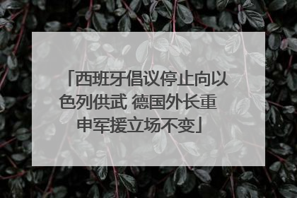 西班牙倡议停止向以色列供武 德国外长重申军援立场不变