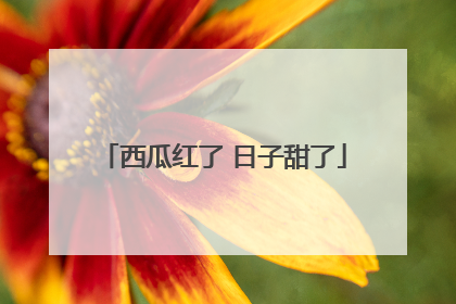 西瓜红了 日子甜了