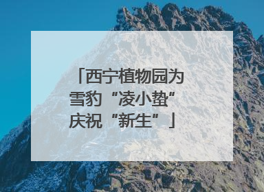 西宁植物园为雪豹“凌小蛰”庆祝“新生”