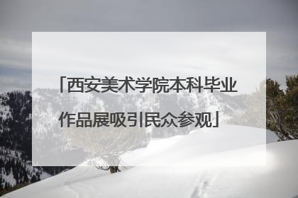 西安美术学院本科毕业作品展吸引民众参观