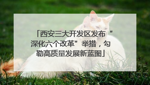 西安三大开发区发布“深化六个改革”举措，勾勒高质量发展新蓝图