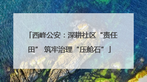 西峰公安：深耕社区“责任田” 筑牢治理“压舱石”
