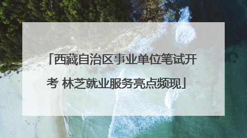 西藏自治区事业单位笔试开考 林芝就业服务亮点频现
