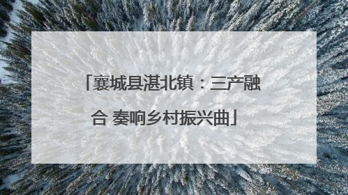 襄城县湛北镇：三产融合 奏响乡村振兴曲