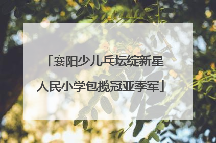 襄阳少儿乓坛绽新星 人民小学包揽冠亚季军