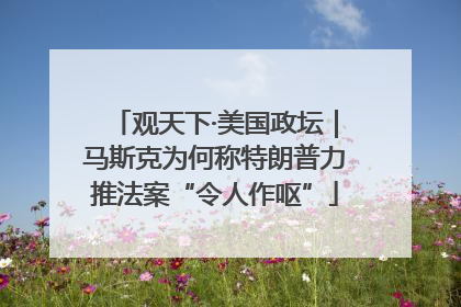 观天下·美国政坛｜马斯克为何称特朗普力推法案“令人作呕”