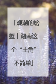 观潮的螃蟹丨湖南这个“主角”不简单