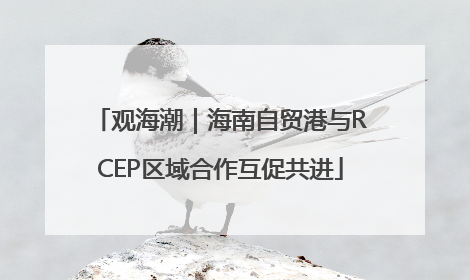 观海潮｜海南自贸港与RCEP区域合作互促共进