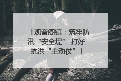观音阁镇：筑牢防汛“安全堤” 打好抗洪“主动仗”