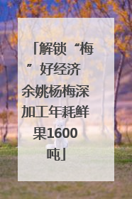 解锁“梅”好经济 余姚杨梅深加工年耗鲜果1600吨