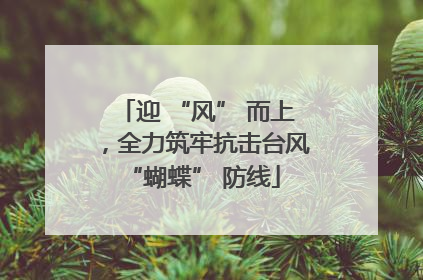 迎 “风” 而上，全力筑牢抗击台风 “蝴蝶” 防线