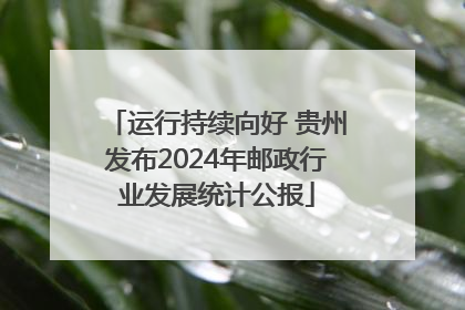 运行持续向好 贵州发布2024年邮政行业发展统计公报