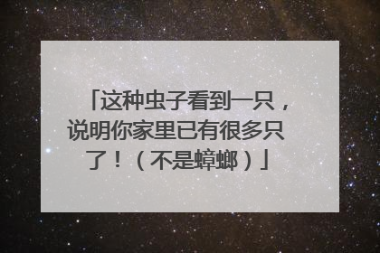 这种虫子看到一只，说明你家里已有很多只了！（不是蟑螂）