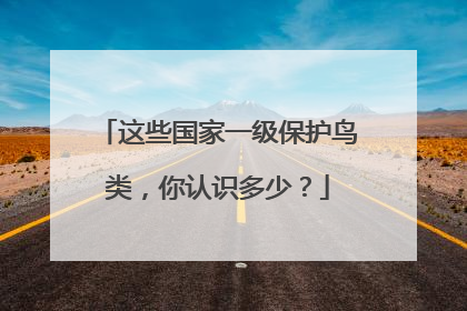 这些国家一级保护鸟类，你认识多少？