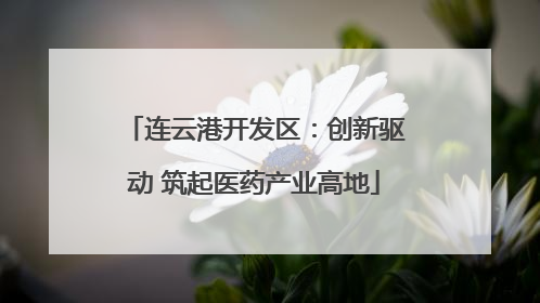 连云港开发区：创新驱动 筑起医药产业高地