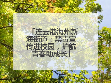 连云港海州新海街道：禁毒宣传进校园，护航青春助成长