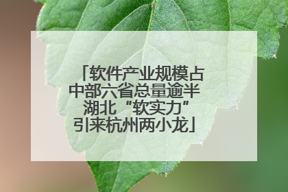 软件产业规模占中部六省总量逾半 湖北“软实力”引来杭州两小龙