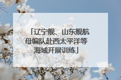 辽宁舰、山东舰航母编队赴西太平洋等海域开展训练
