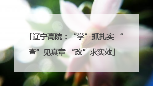 辽宁高院：“学”抓扎实 “查”见真章 “改”求实效