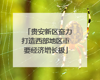 贵安新区奋力打造西部地区重要经济增长极