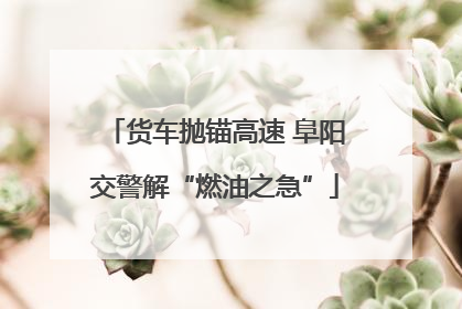 货车抛锚高速 阜阳交警解“燃油之急”