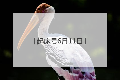 起床号6月11日