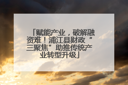 赋能产业，破解融资难！浦江县财政“三聚焦”助推传统产业转型升级